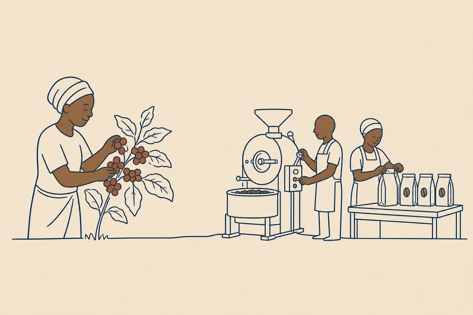 Illustration of coffee value creation at origin in Kenya.
