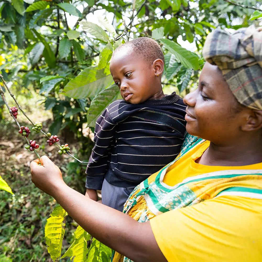 Kaffeebäuerin in Afrika mit Kind