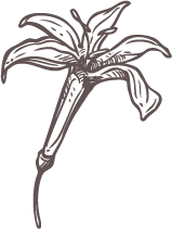 Icon Herz mit Handschlag